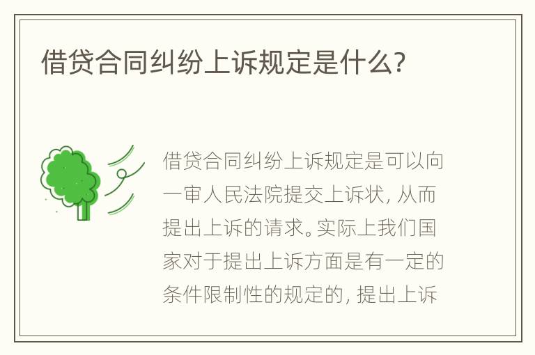 借贷合同纠纷上诉规定是什么？