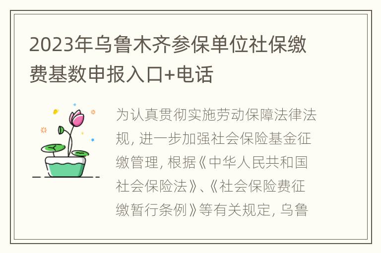 2023年乌鲁木齐参保单位社保缴费基数申报入口+电话