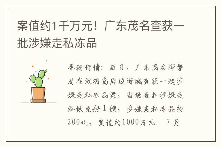 案值约1千万元！广东茂名查获一批涉嫌走私冻品