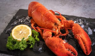 冷冻大龙虾食用方法 龙虾怎么做好吃