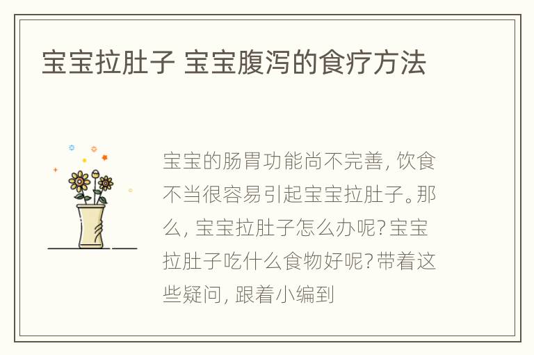 宝宝拉肚子 宝宝腹泻的食疗方法