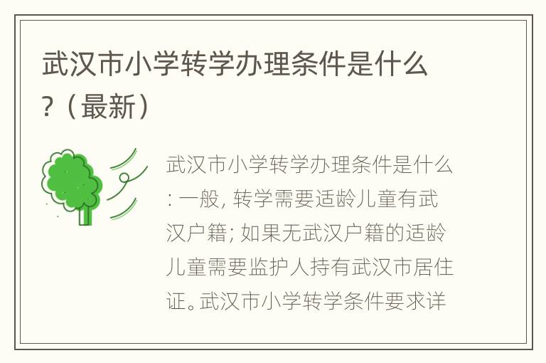 武汉市小学转学办理条件是什么？（最新）