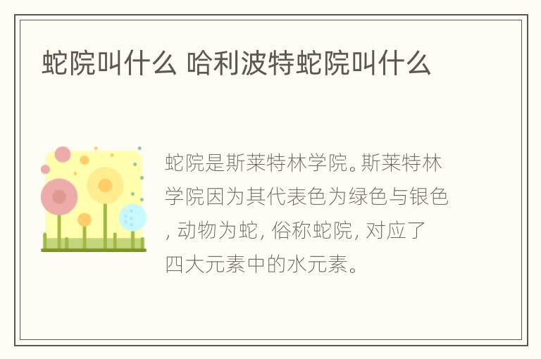 蛇院叫什么 哈利波特蛇院叫什么