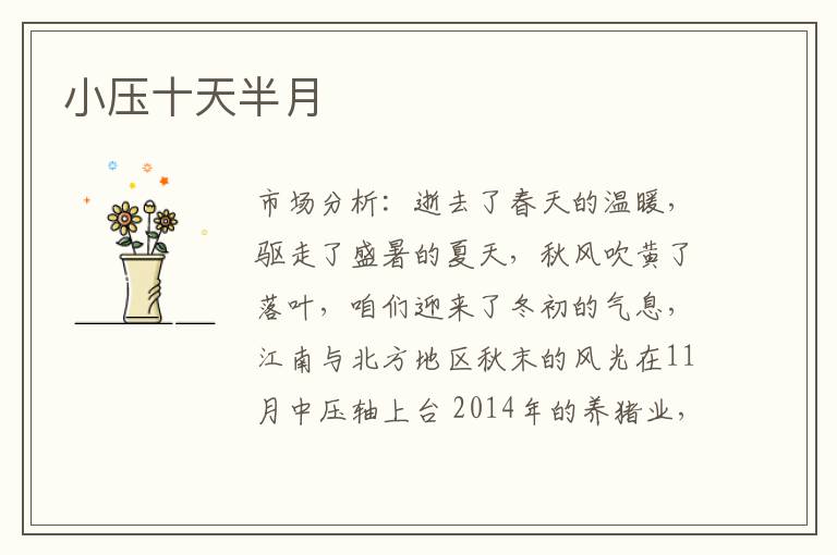 小压十天半月