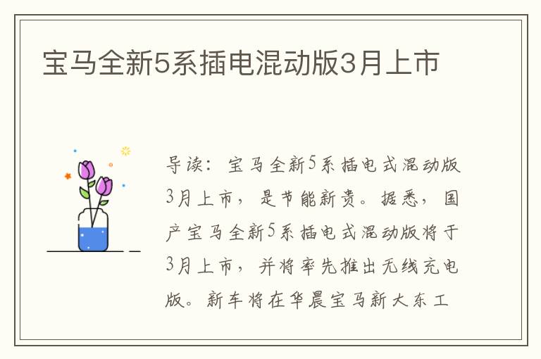 宝马全新5系插电混动版3月上市