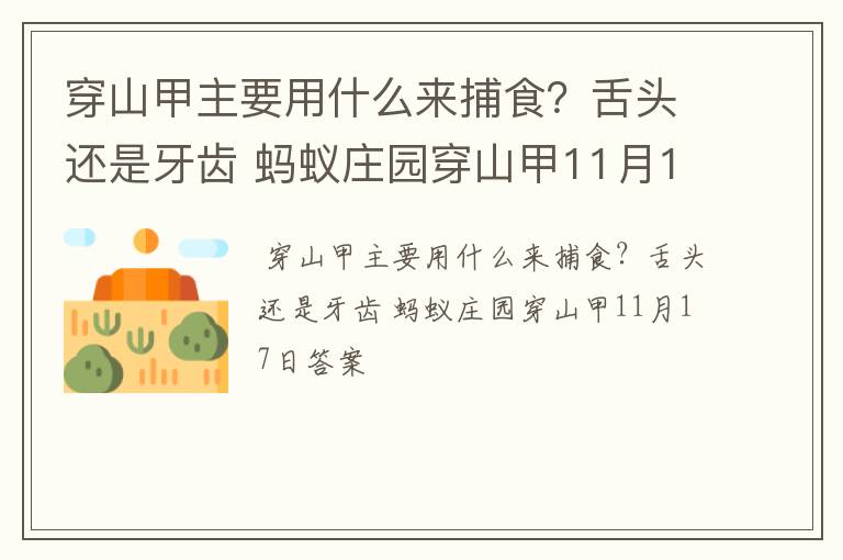 穿山甲主要用什么来捕食？舌头还是牙齿 蚂蚁庄园穿山甲11月17日答案