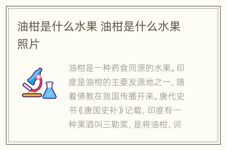 油柑是什么水果 油柑是什么水果照片