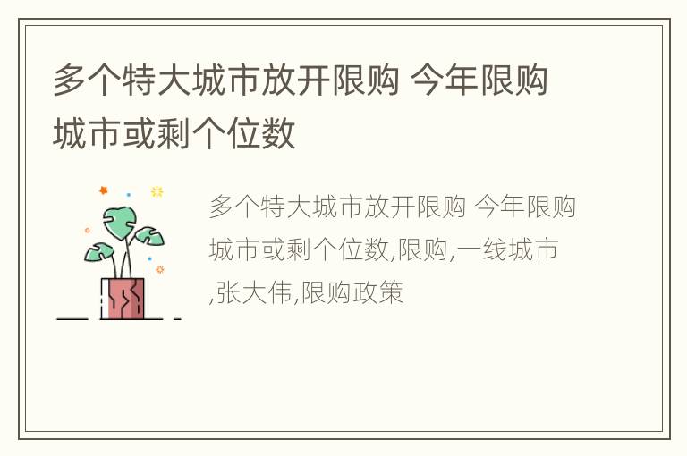 多个特大城市放开限购 今年限购城市或剩个位数
