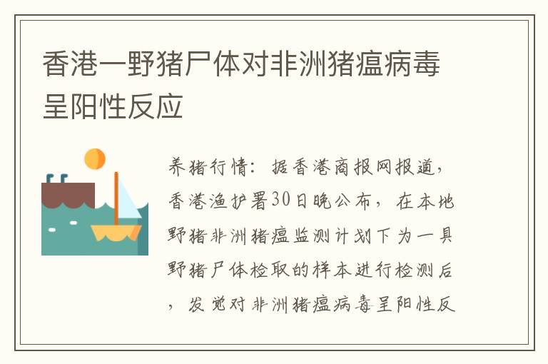 香港一野猪尸体对非洲猪瘟病毒呈阳性反应