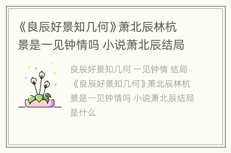 《良辰好景知几何》萧北辰林杭景是一见钟情吗 小说萧北辰结局是什么