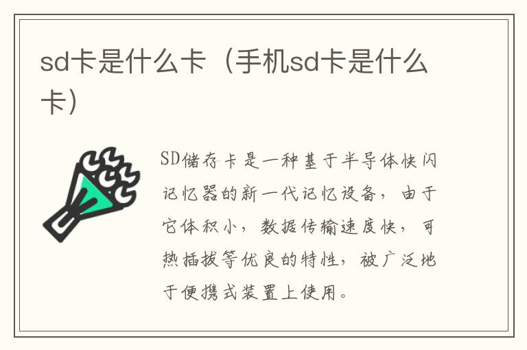 sd卡是什么卡（手机sd卡是什么卡）