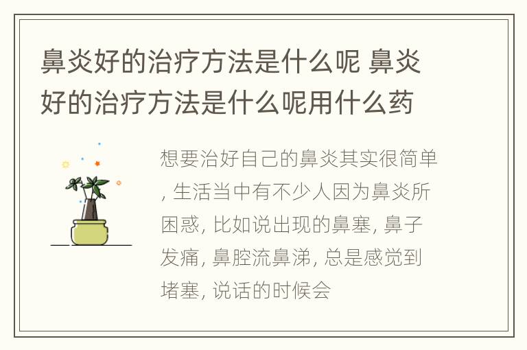 鼻炎好的治疗方法是什么呢 鼻炎好的治疗方法是什么呢用什么药