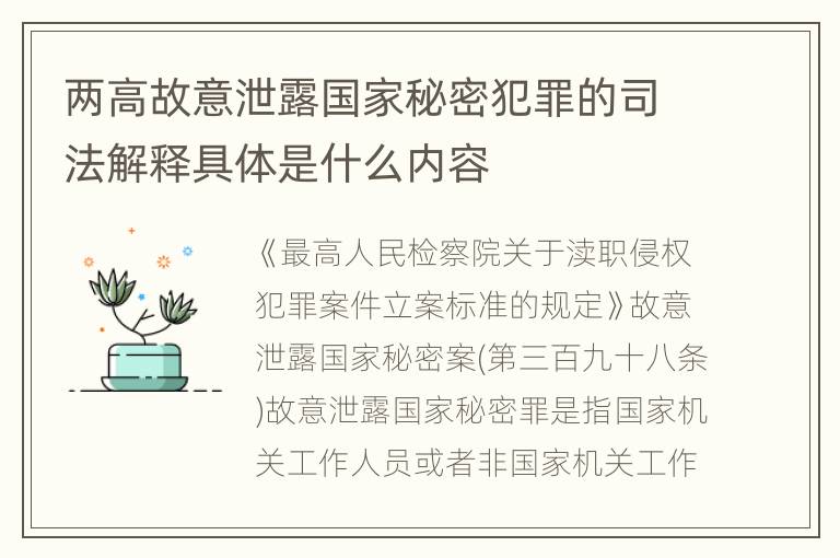 两高故意泄露国家秘密犯罪的司法解释具体是什么内容