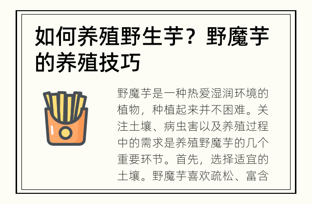 如何养殖野生芋？ 野魔芋的养殖技巧