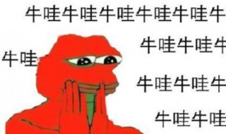 基金牛蛙什么梗 基金牛蛙的梗是什么意思