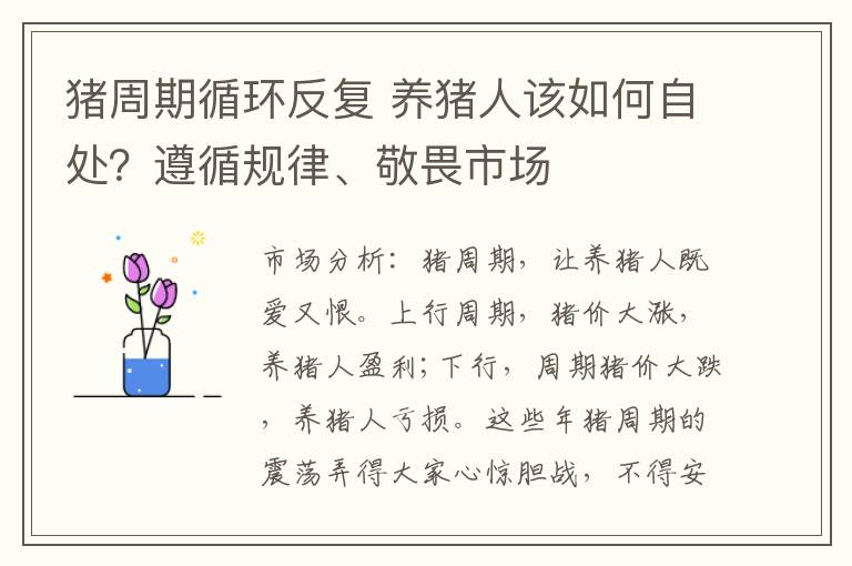 猪周期循环反复 养猪人该如何自处？遵循规律、敬畏市场