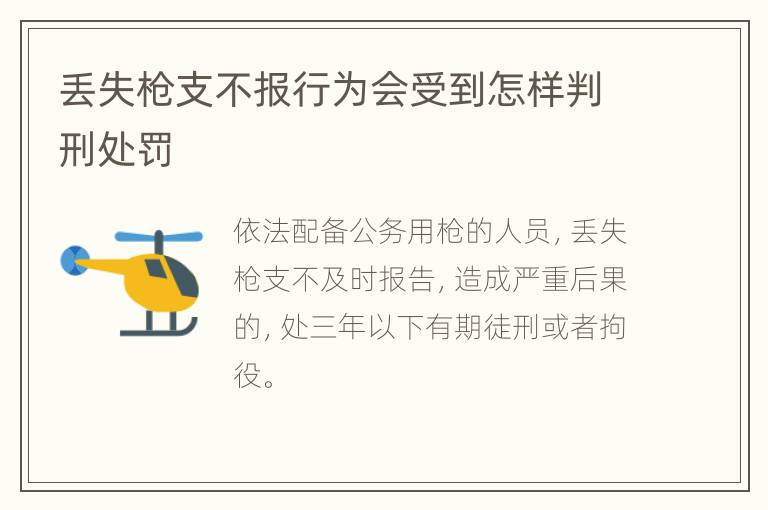 丢失枪支不报行为会受到怎样判刑处罚