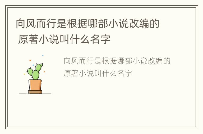 向风而行是根据哪部小说改编的 原著小说叫什么名字