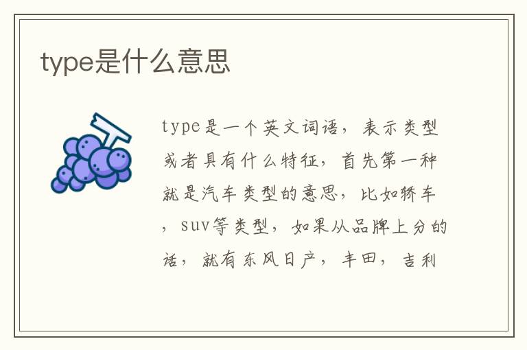 type是什么意思