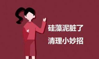 硅藻泥脏了清理小妙招 硅藻泥脏了怎么清理
