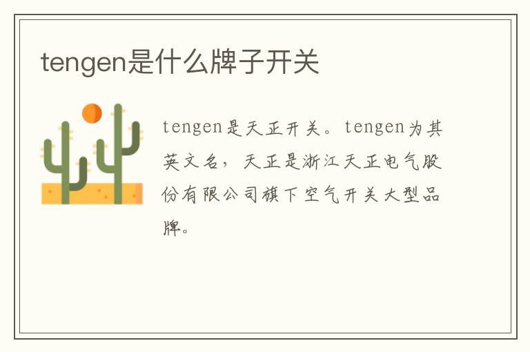 tengen是什么牌子开关