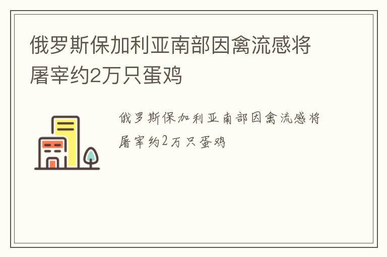 俄罗斯保加利亚南部因禽流感将屠宰约2万只蛋鸡