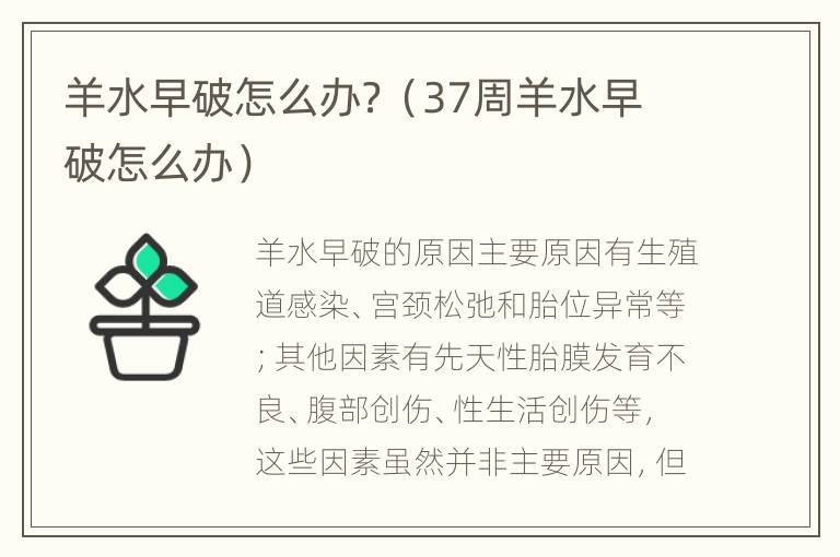 羊水早破怎么办？（37周羊水早破怎么办）
