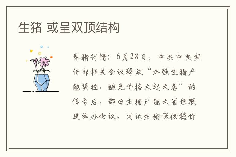 生猪 或呈双顶结构