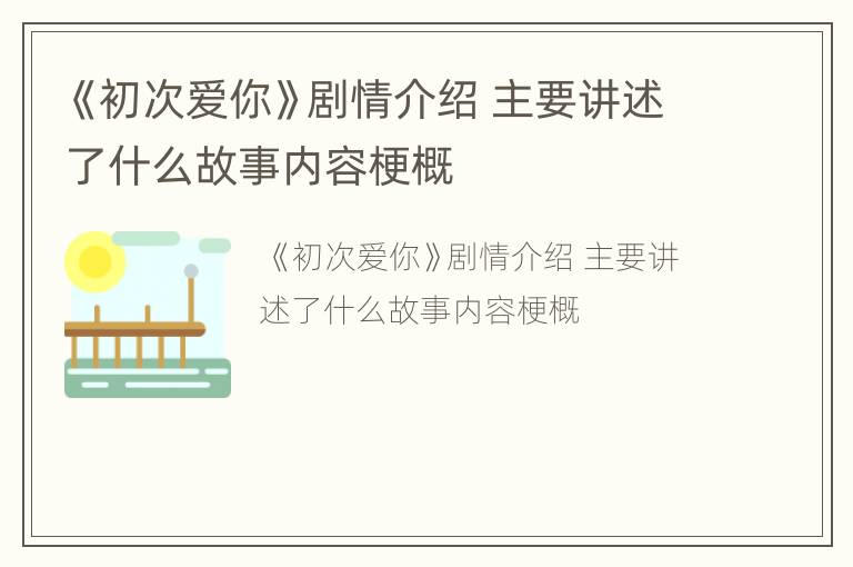 《初次爱你》剧情介绍 主要讲述了什么故事内容梗概