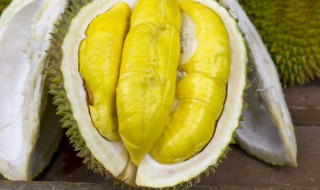 冻榴莲化开后水塌塌的还能吃吗 化开之后水塌塌的榴莲能不能吃