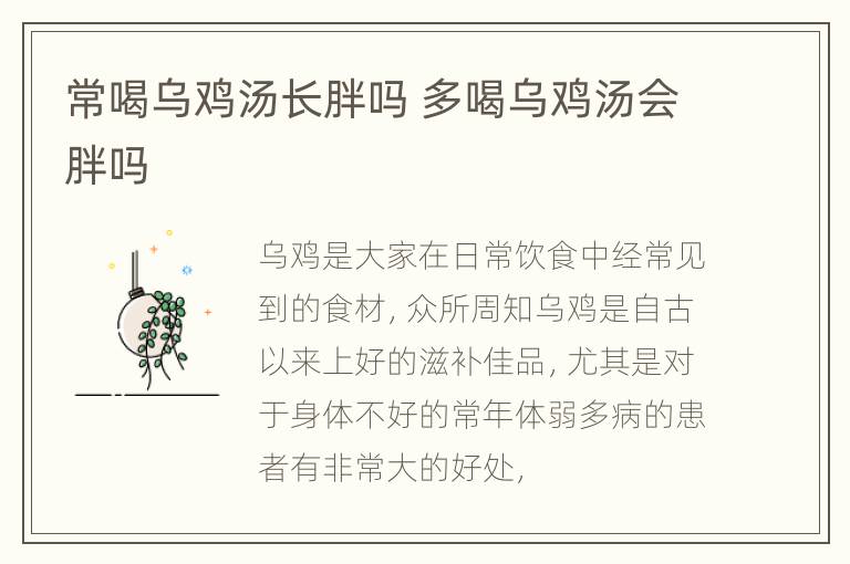 常喝乌鸡汤长胖吗 多喝乌鸡汤会胖吗