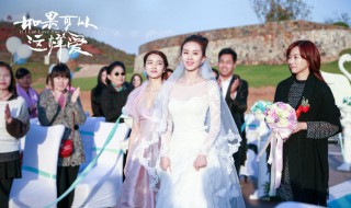 如果可以这样爱电视剧简介 电视如果可以这样爱介绍