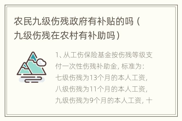 农民九级伤残政府有补贴的吗（九级伤残在农村有补助吗）