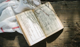 细腻是什么意思 细腻出自哪里呢