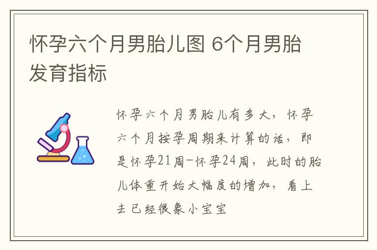怀孕六个月男胎儿图 6个月男胎发育指标