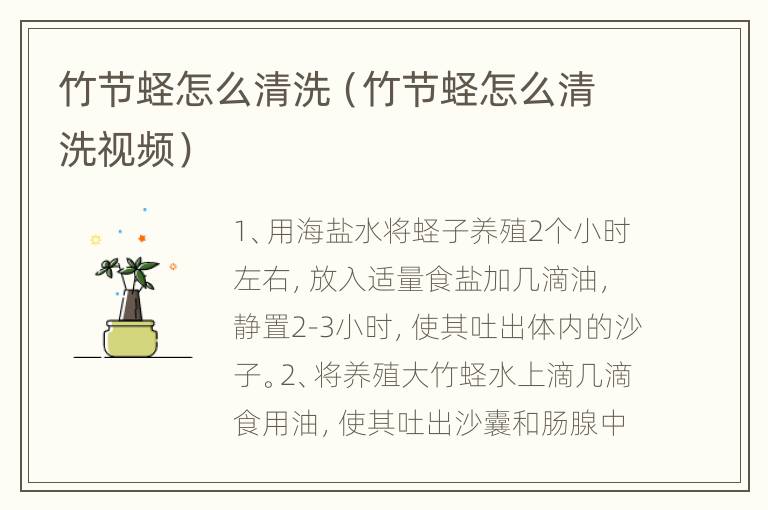 竹节蛏怎么清洗（竹节蛏怎么清洗视频）