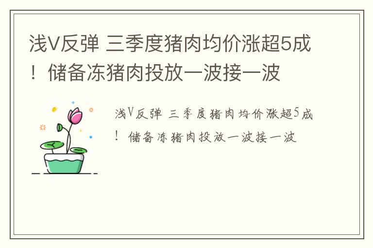 浅V反弹 三季度猪肉均价涨超5成！储备冻猪肉投放一波接一波