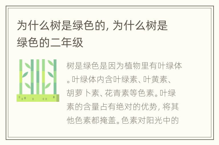 为什么树是绿色的，为什么树是绿色的二年级