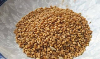 麦芽水什么时候喝好 麦芽水喝多久