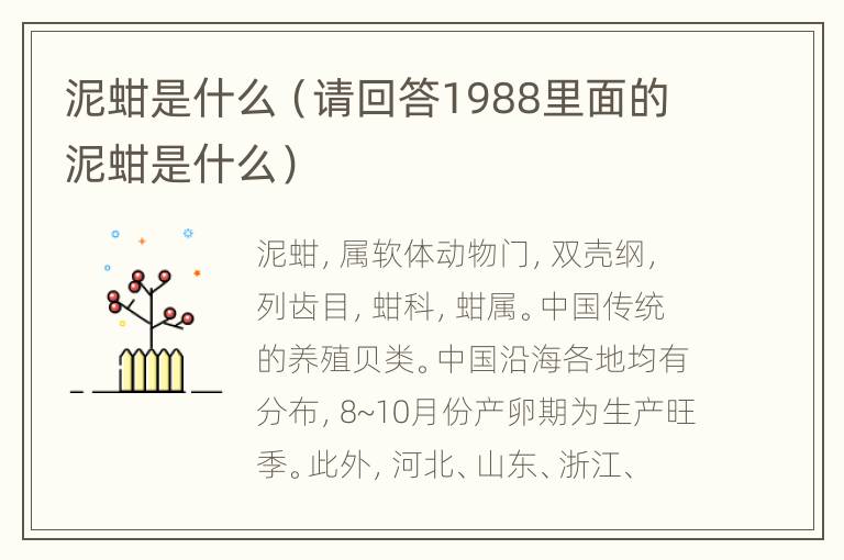 泥蚶是什么（请回答1988里面的泥蚶是什么）