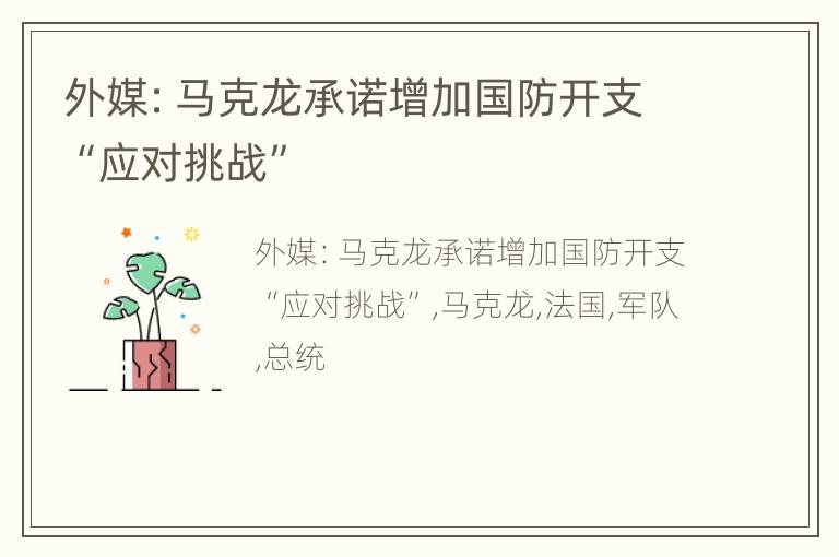 外媒：马克龙承诺增加国防开支“应对挑战”