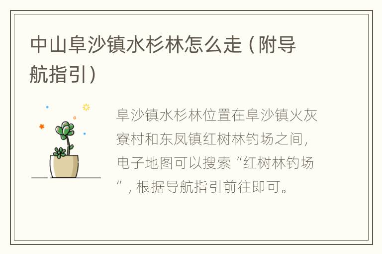中山阜沙镇水杉林怎么走（附导航指引）