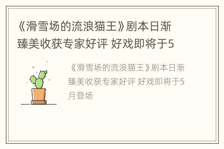 《滑雪场的流浪猫王》剧本日渐臻美收获专家好评 好戏即将于5月登场