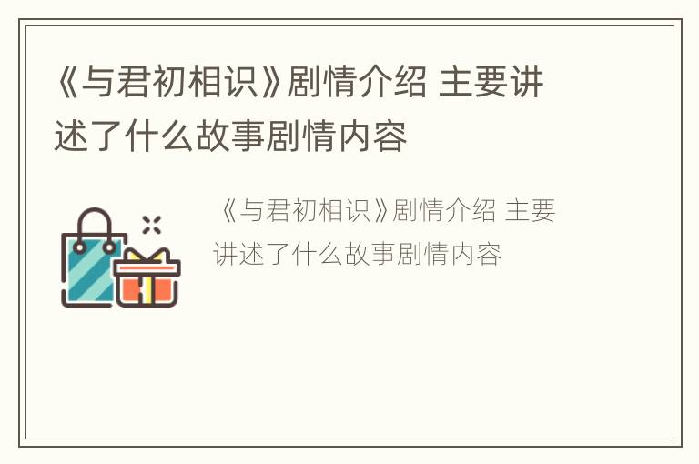 《与君初相识》剧情介绍 主要讲述了什么故事剧情内容