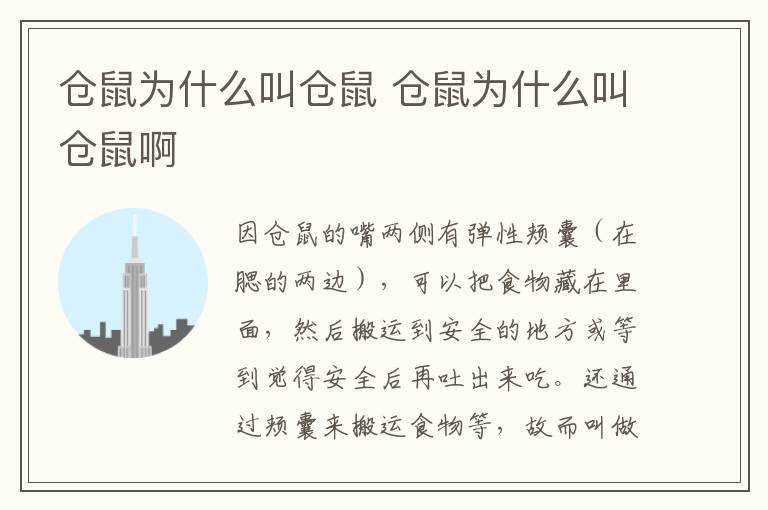 仓鼠为什么叫仓鼠 仓鼠为什么叫仓鼠啊