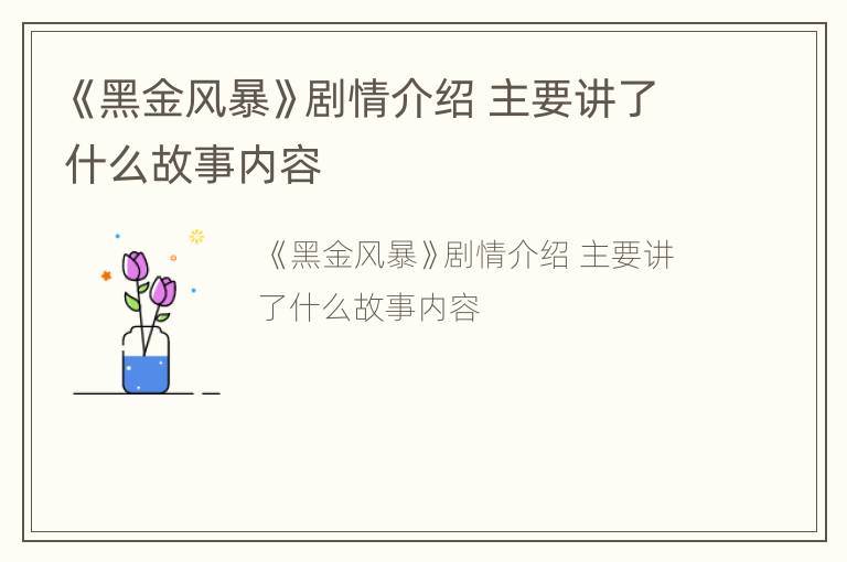 《黑金风暴》剧情介绍 主要讲了什么故事内容