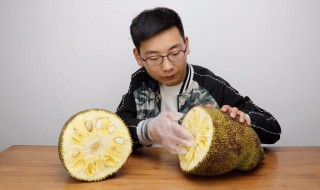 菠萝蜜的胶粘在手上怎么洗掉 菠萝蜜的胶粘在手上的清洗技巧