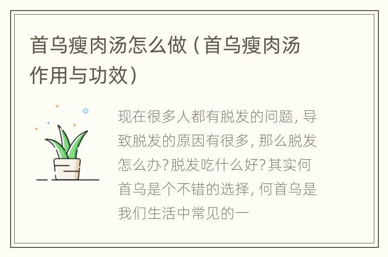 首乌瘦肉汤怎么做（首乌瘦肉汤作用与功效）