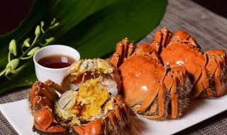 河蟹吃什么东西 河蟹吃什么食物