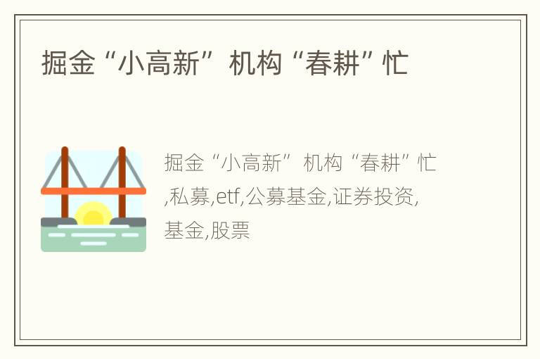 掘金“小高新” 机构“春耕”忙